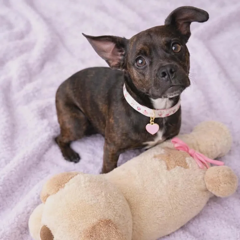 Yuna Bubbles thumbnail 4