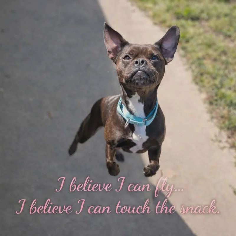 Yuna Bubbles thumbnail 5