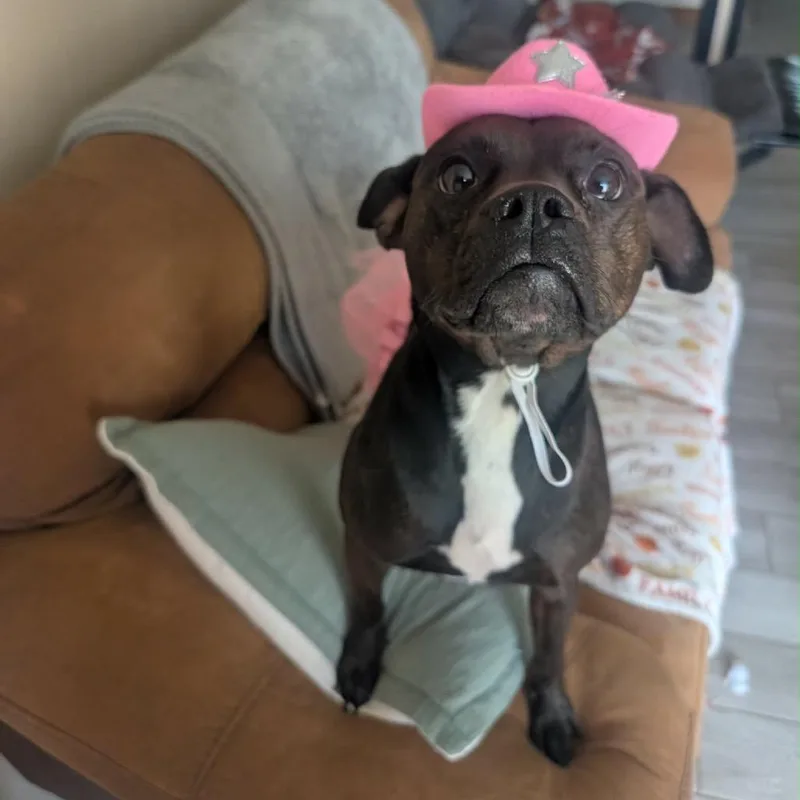 Yuna Bubbles thumbnail 6