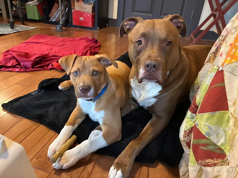 Neutron Star thumbnail 2