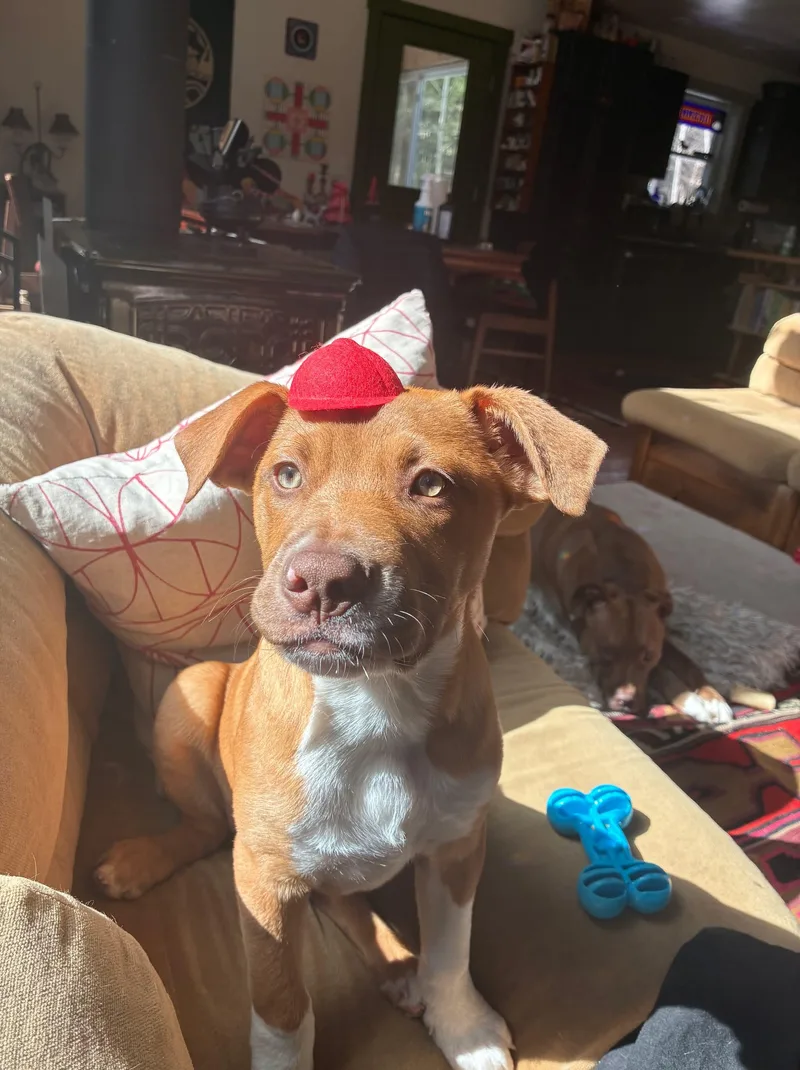 Neutron Star thumbnail 6