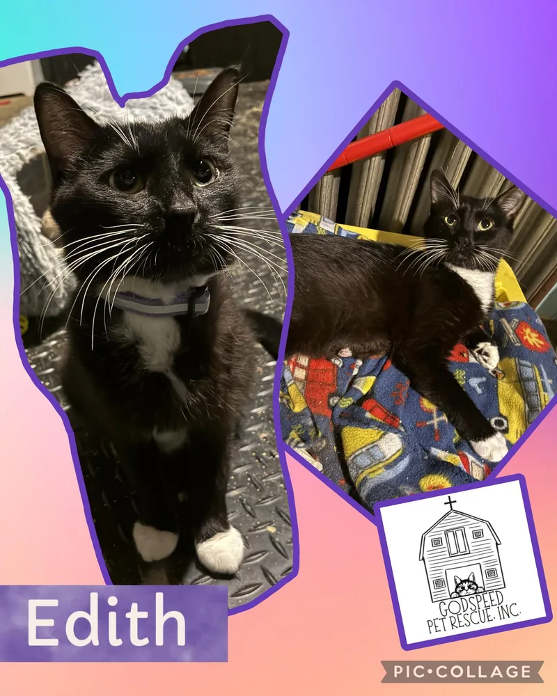 Edith