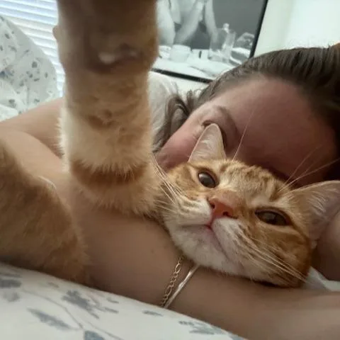 Annie thumbnail 5