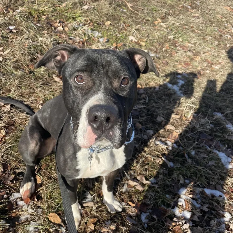 Wednesday thumbnail 2