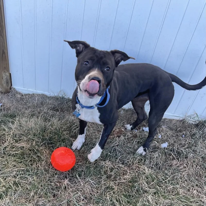 Wednesday thumbnail 3