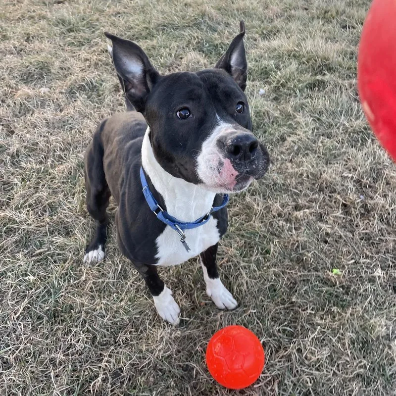 Wednesday thumbnail 4