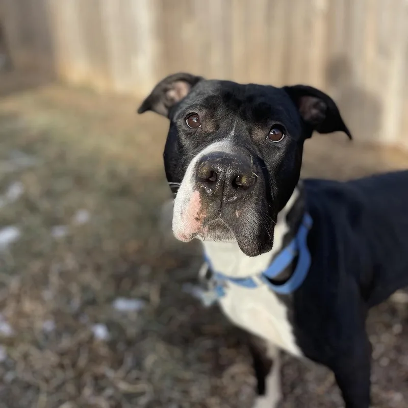 Wednesday thumbnail 5