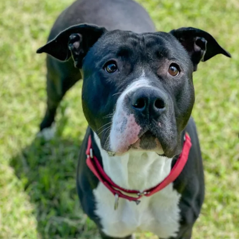 Wednesday thumbnail 6