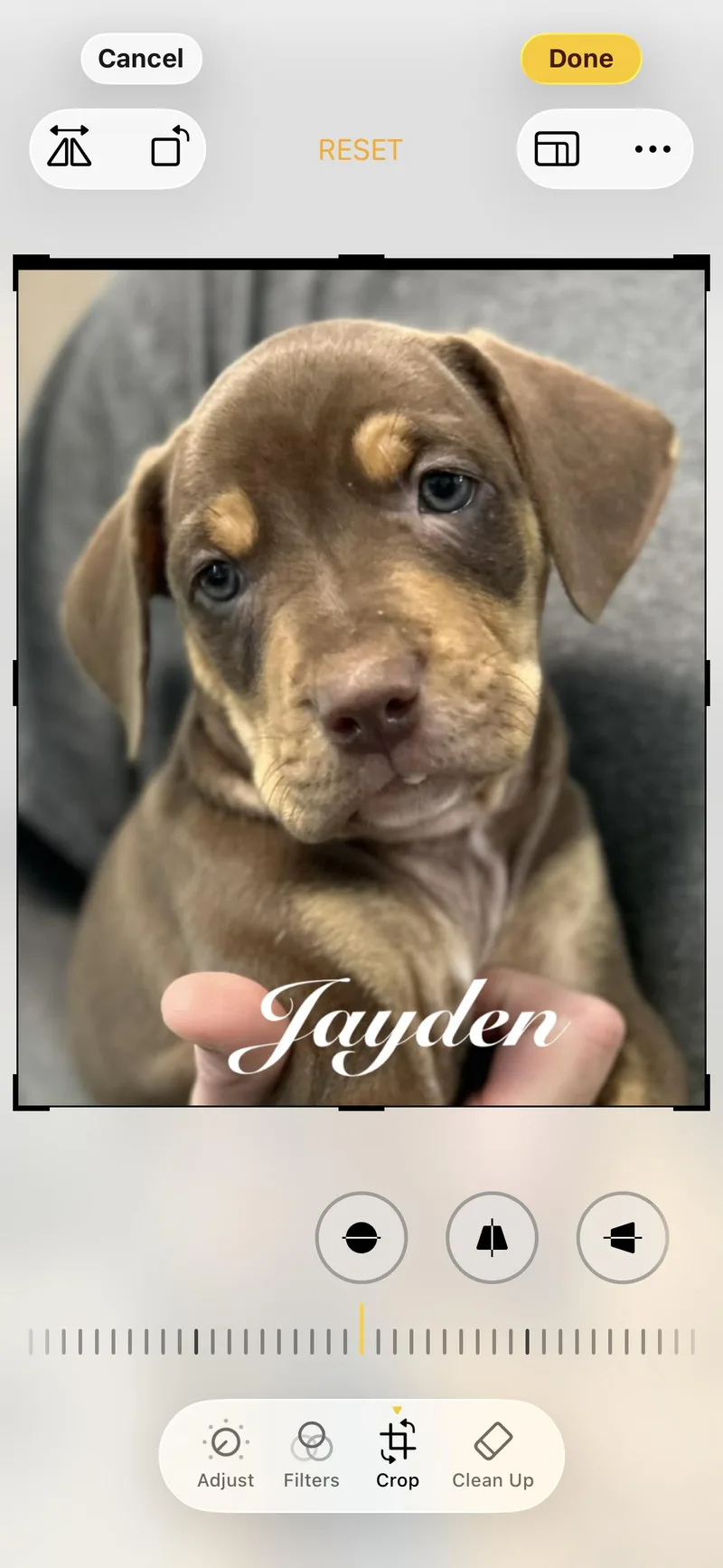 Brayden and Jayden thumbnail 3