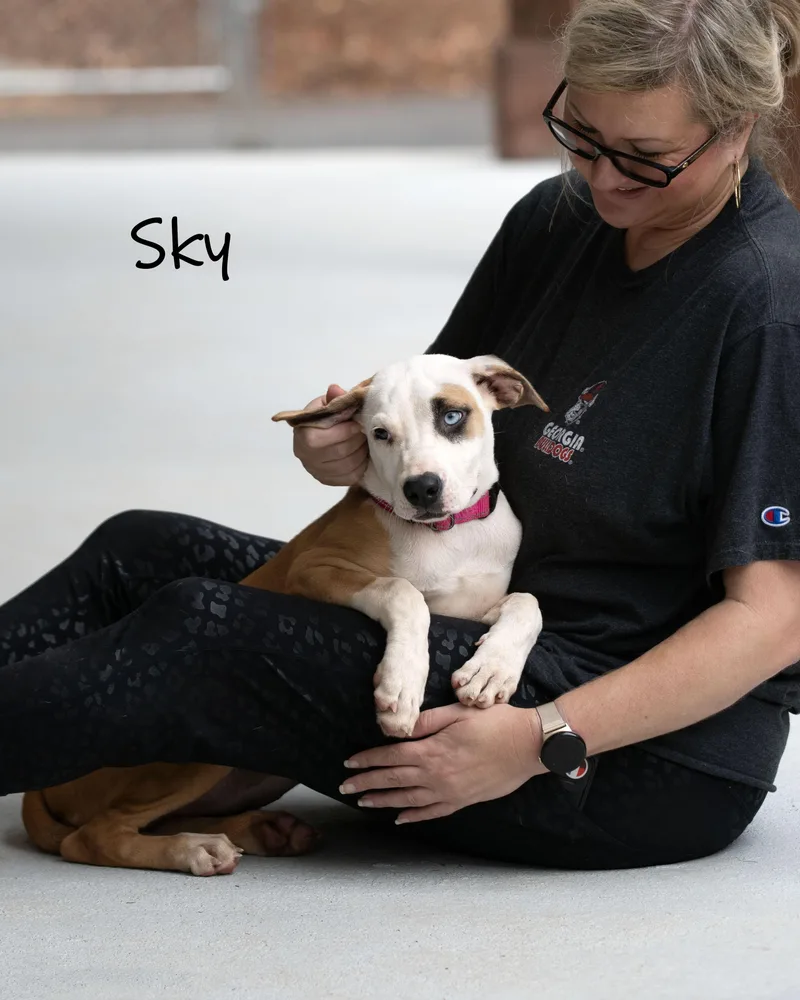 Sky thumbnail 5