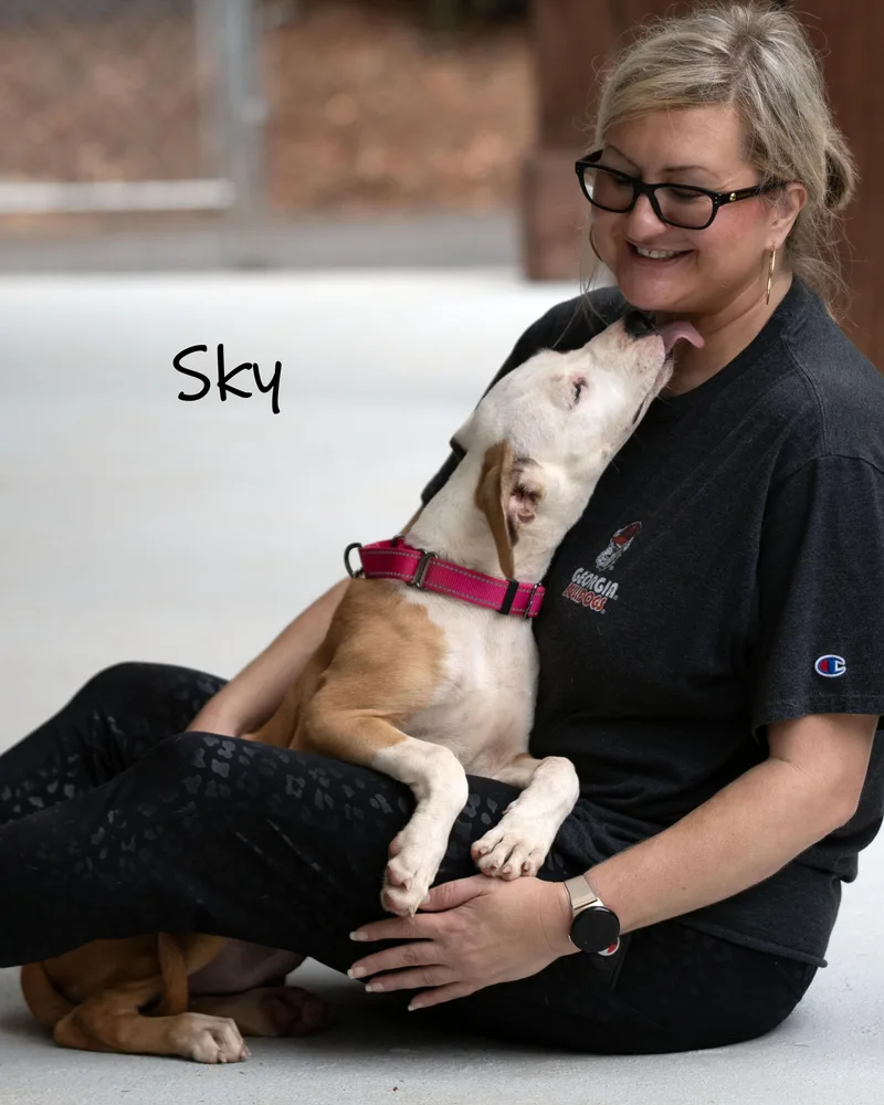 Sky thumbnail 6