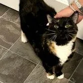 Miss Kelsey thumbnail 3