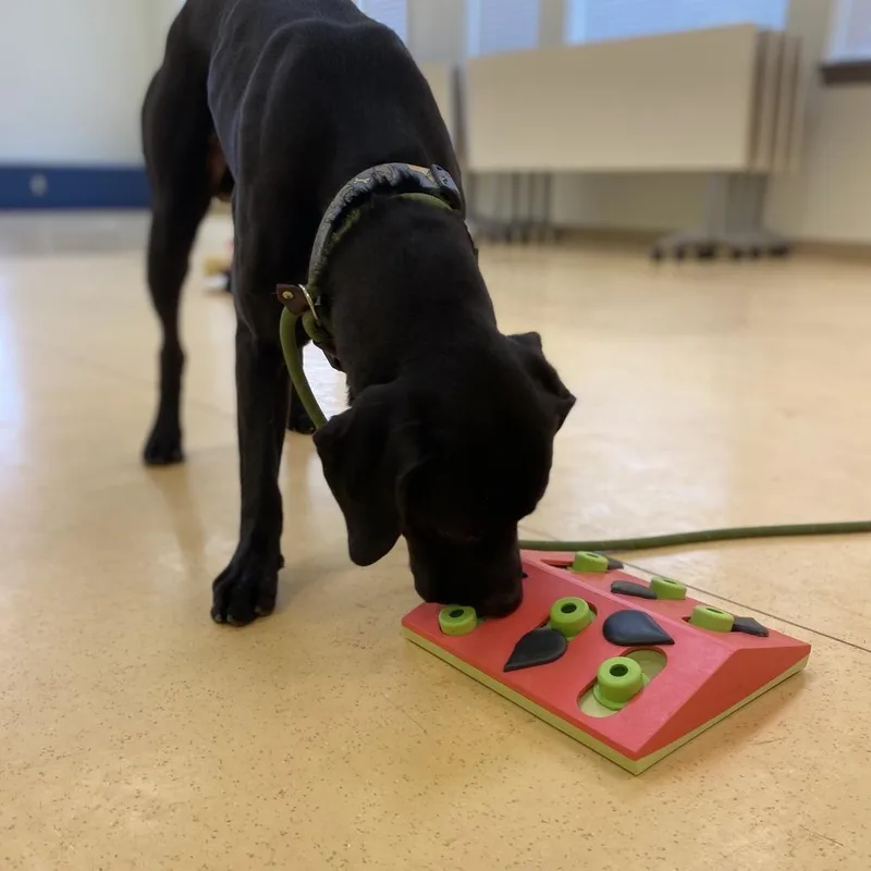 Midnight thumbnail 6