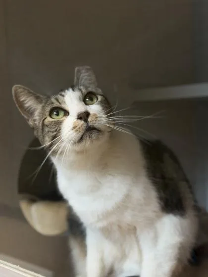 Teefers Mcgee thumbnail 6