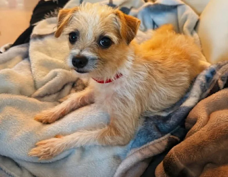Celina thumbnail 3