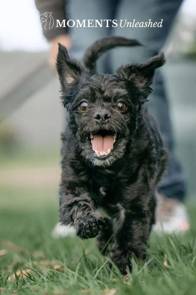 Burlington thumbnail 2