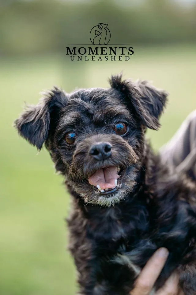 Burlington thumbnail 4