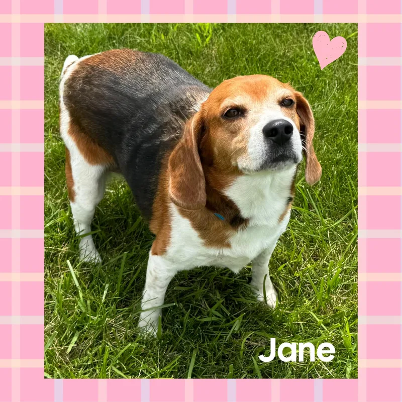 Jane thumbnail 2