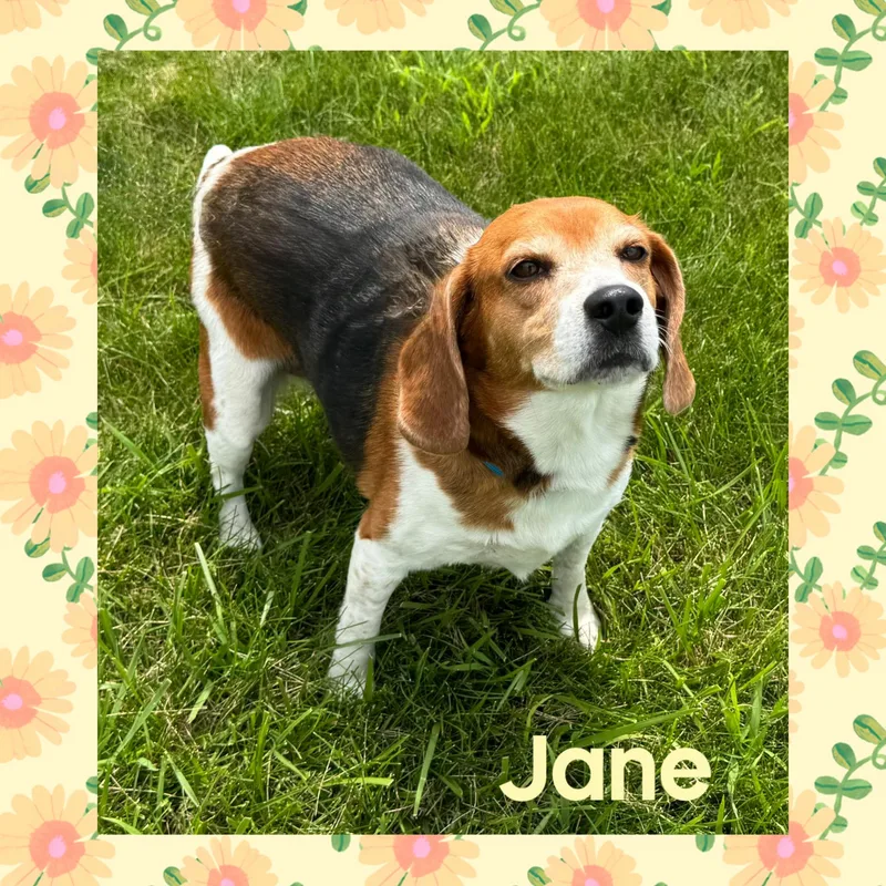 Jane thumbnail 3