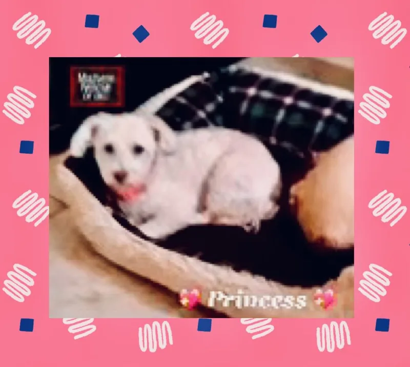 Princess thumbnail 2