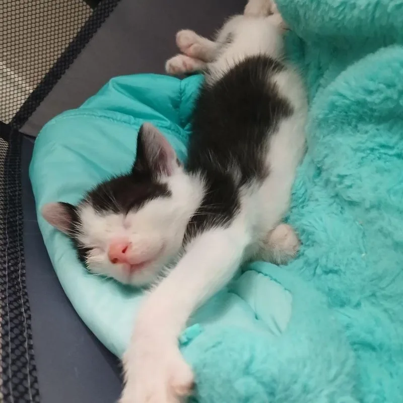 Easter Lucky thumbnail 2