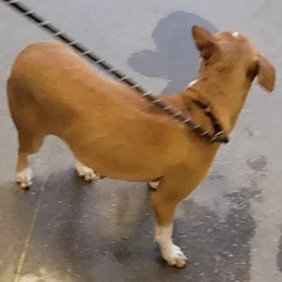 Valentina thumbnail 2