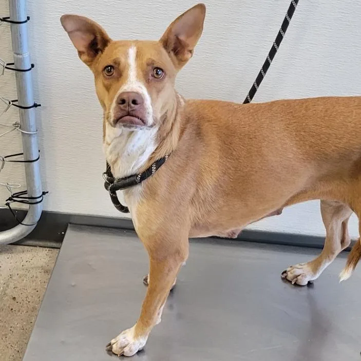 Valentina thumbnail 3