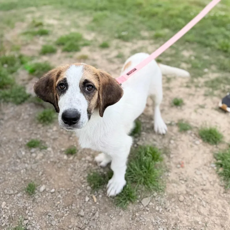 Kia Soul thumbnail 2