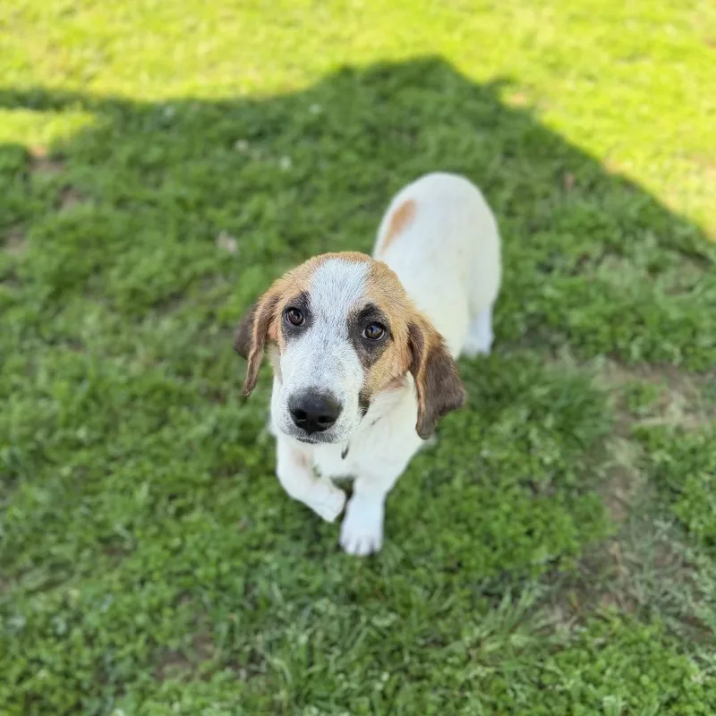 Kia Soul thumbnail 3