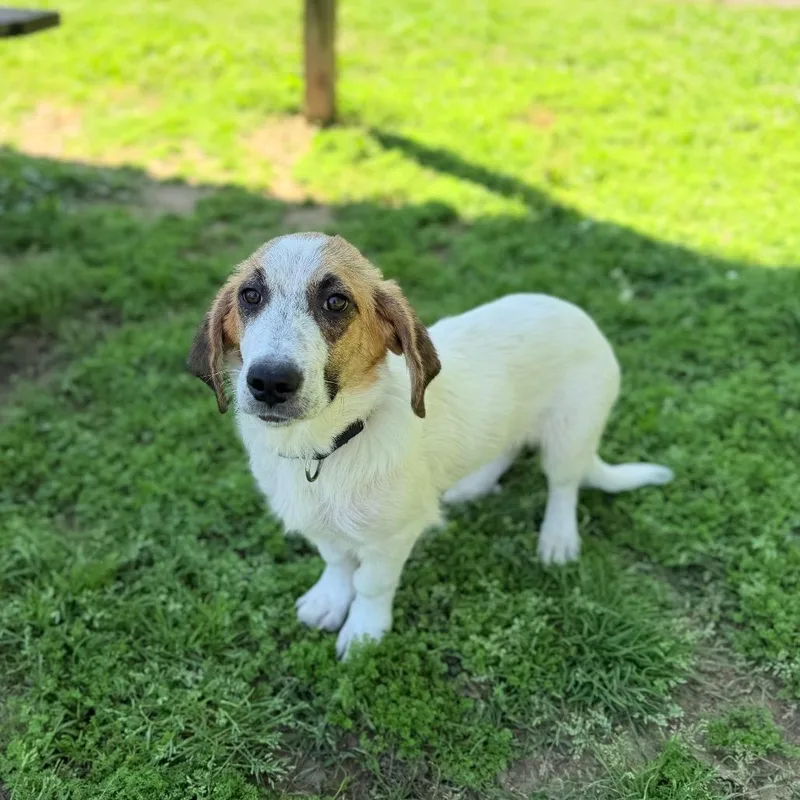 Kia Soul thumbnail 4