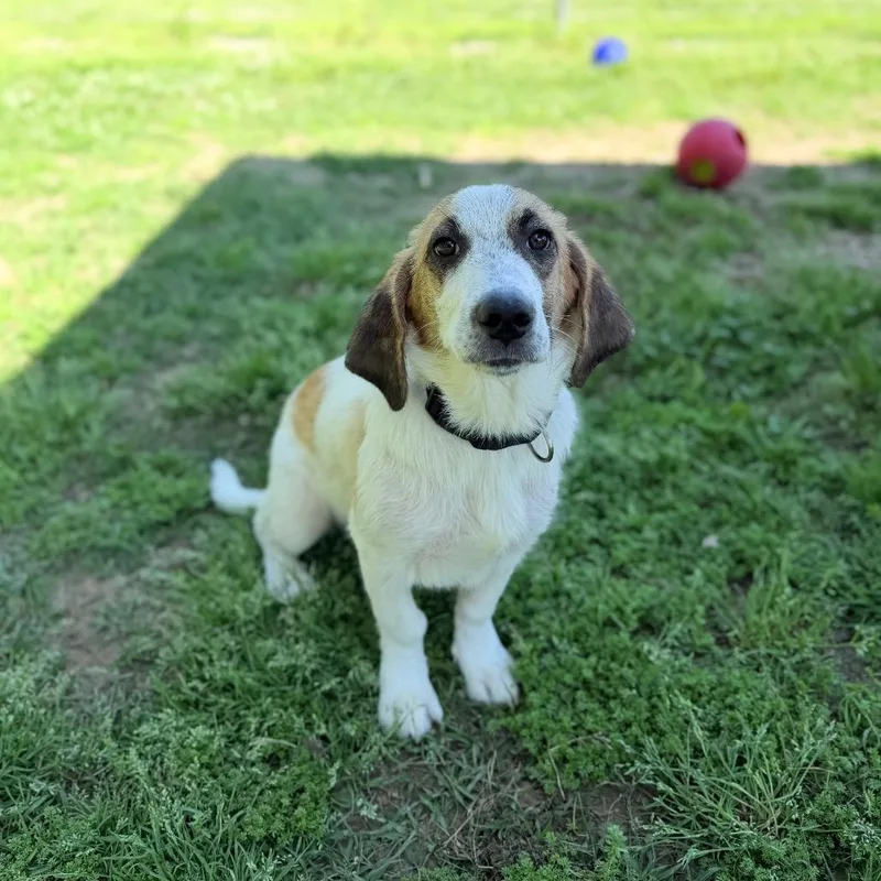 Kia Soul thumbnail 5