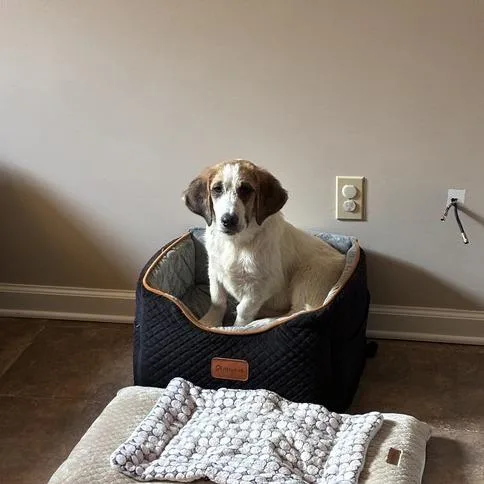 Kia Soul thumbnail 6