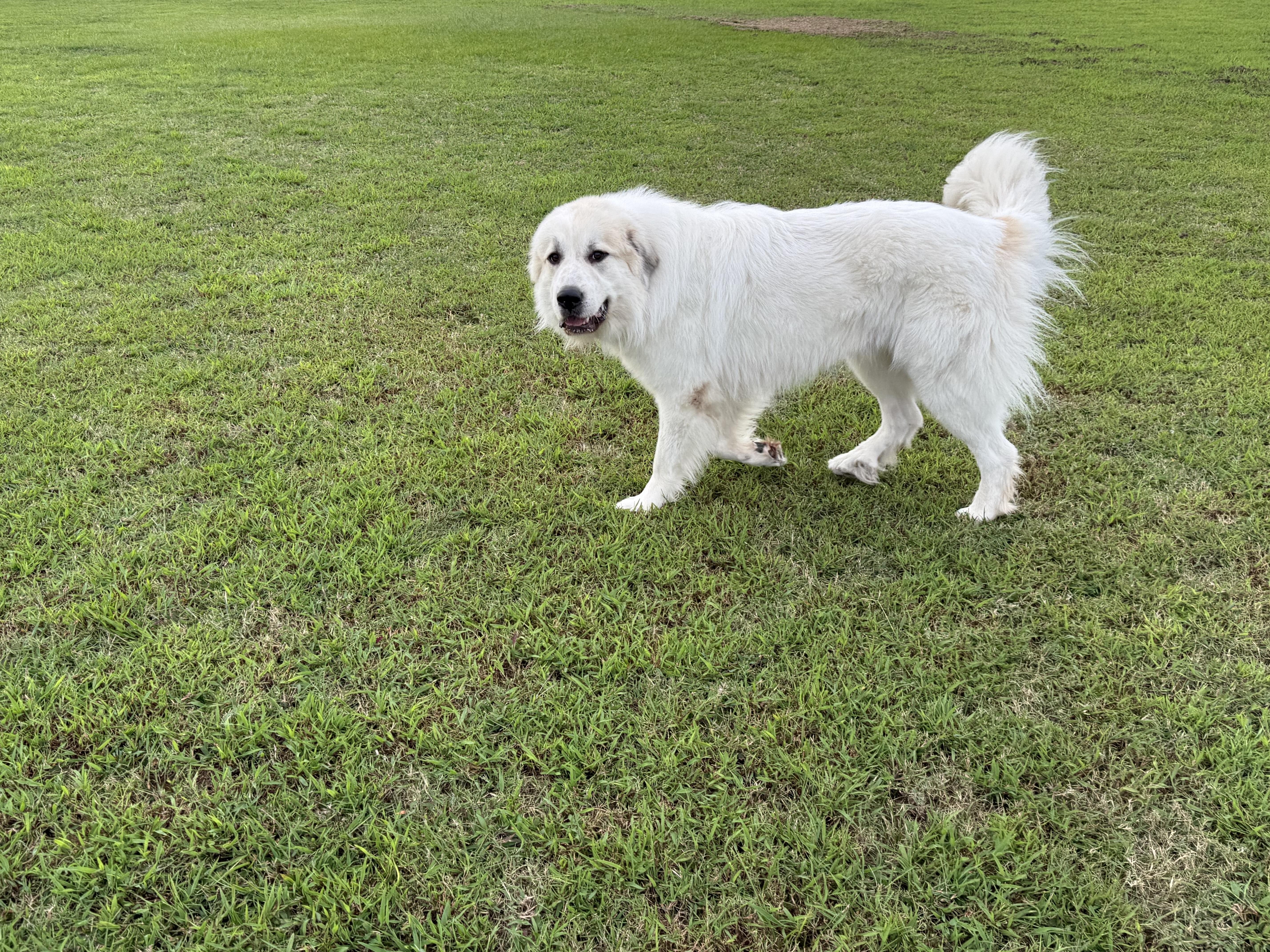 Courtesy Listing Argus