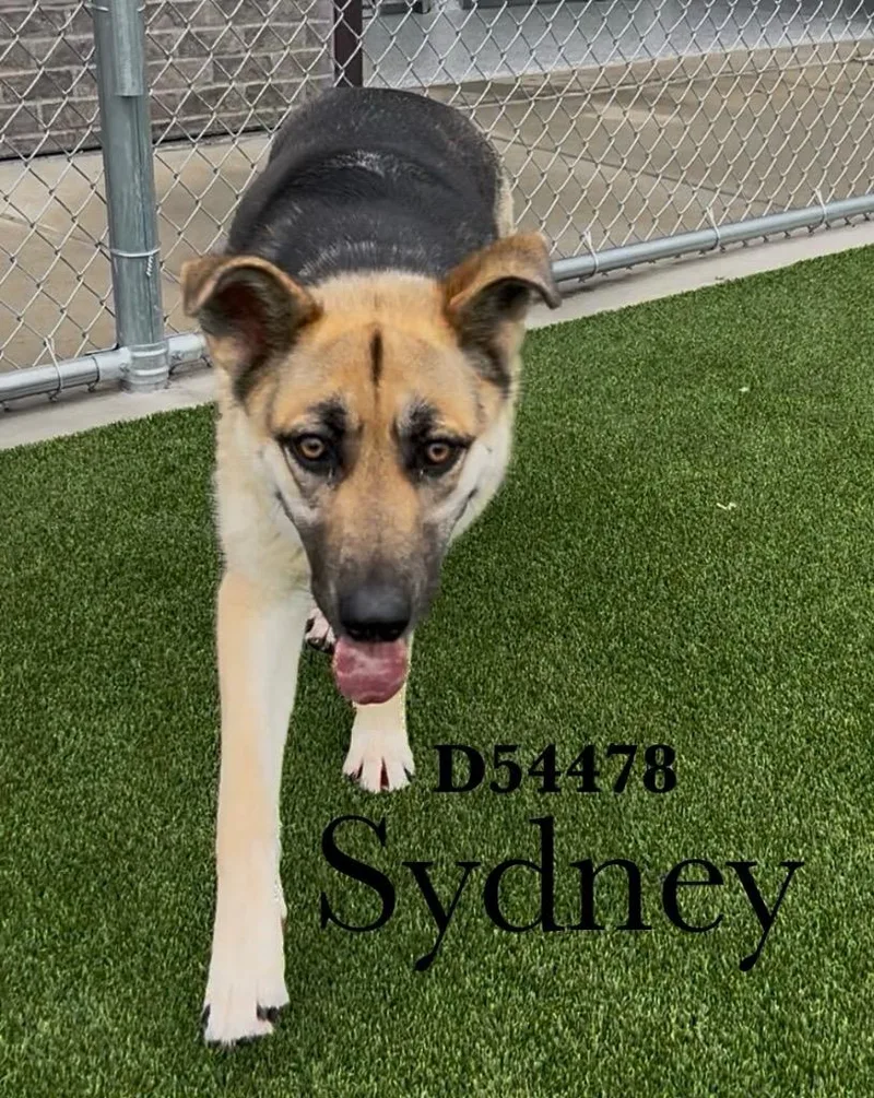 Sydney