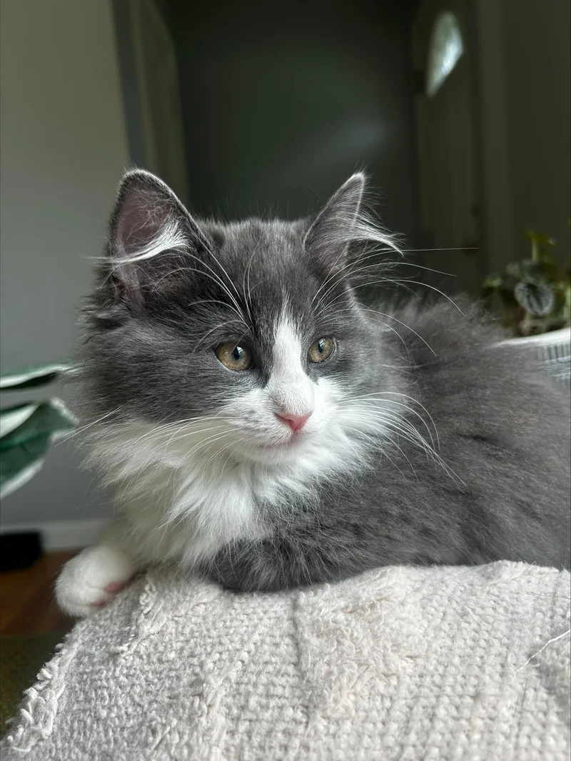 Lucy