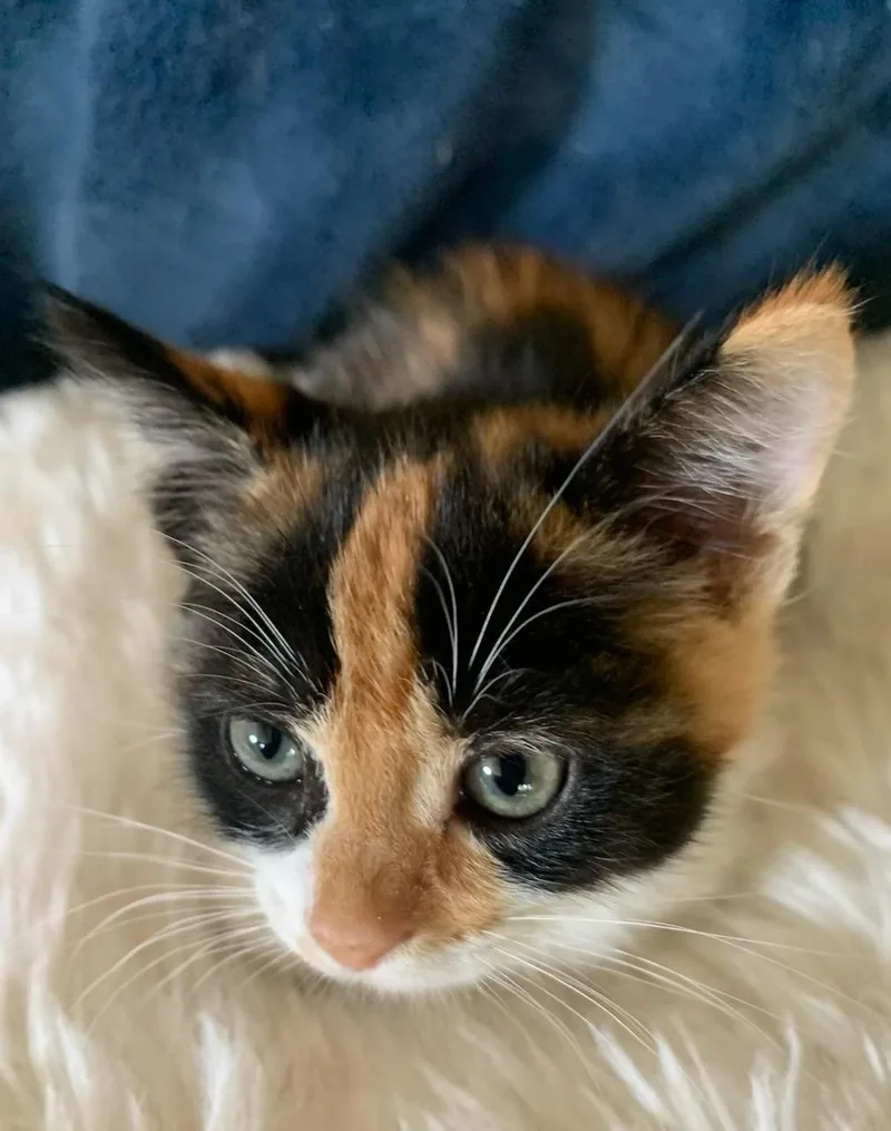 Fiona