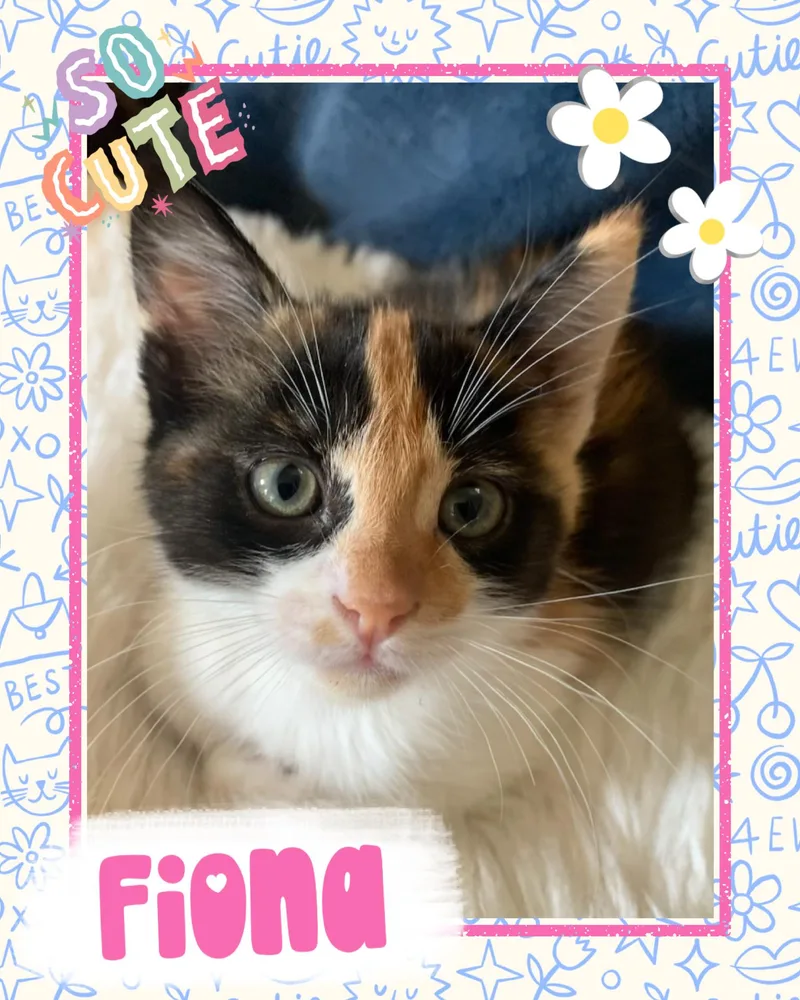 Fiona thumbnail 2