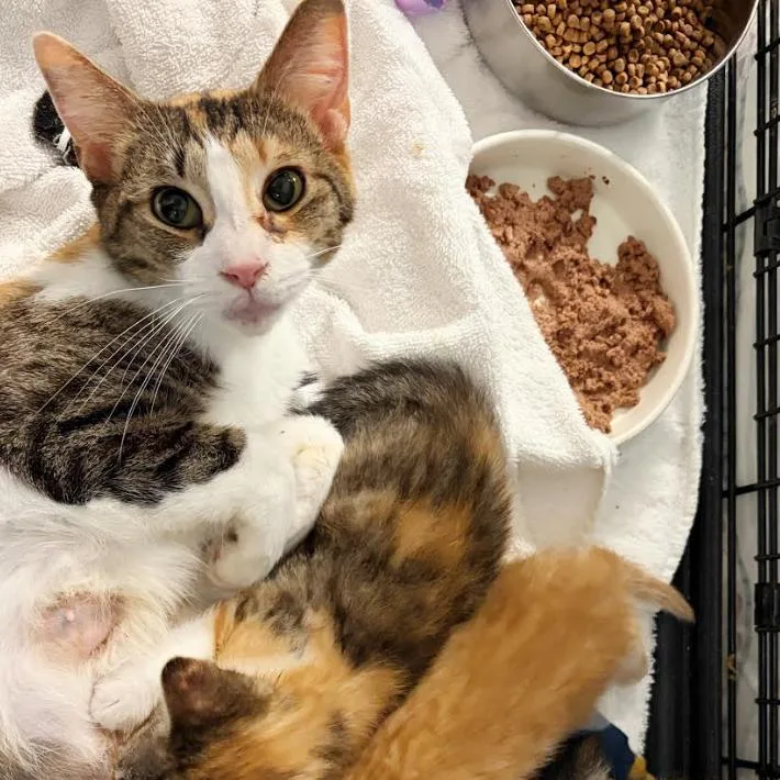 Mackenzey thumbnail 2