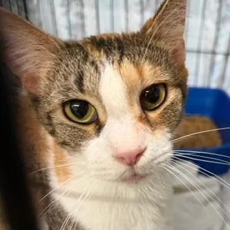 Mackenzey thumbnail 3