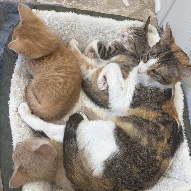 Mackenzey thumbnail 5