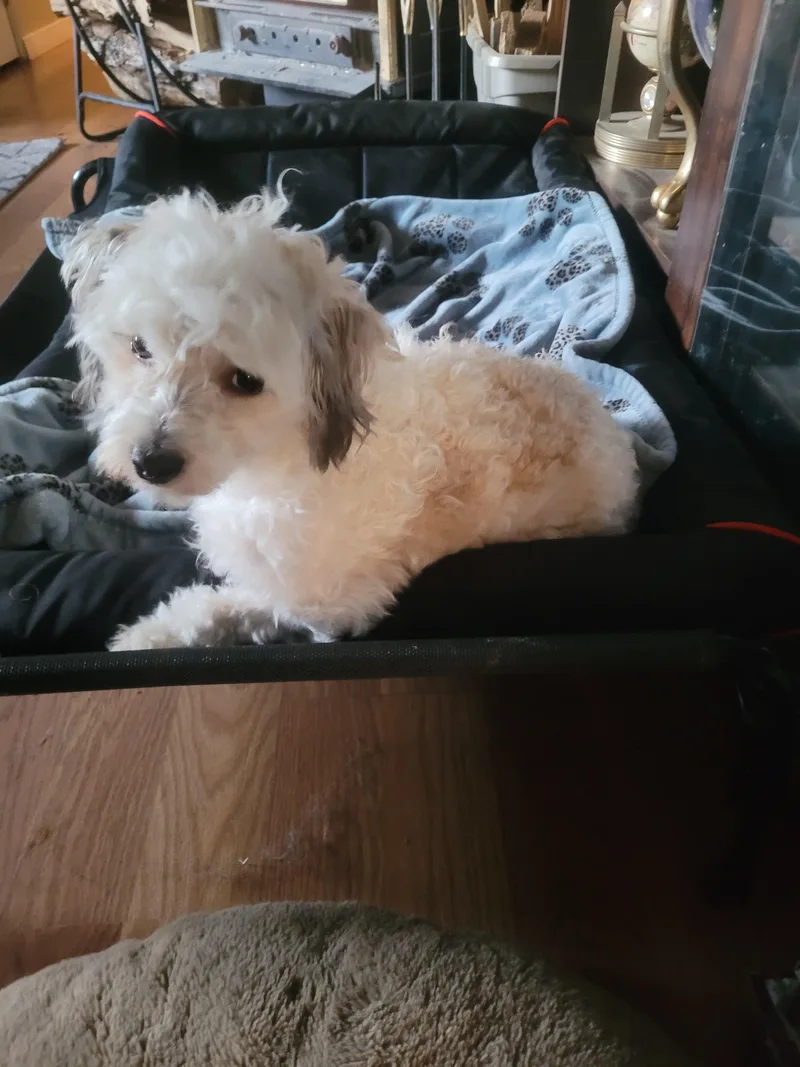 Explorer thumbnail 2