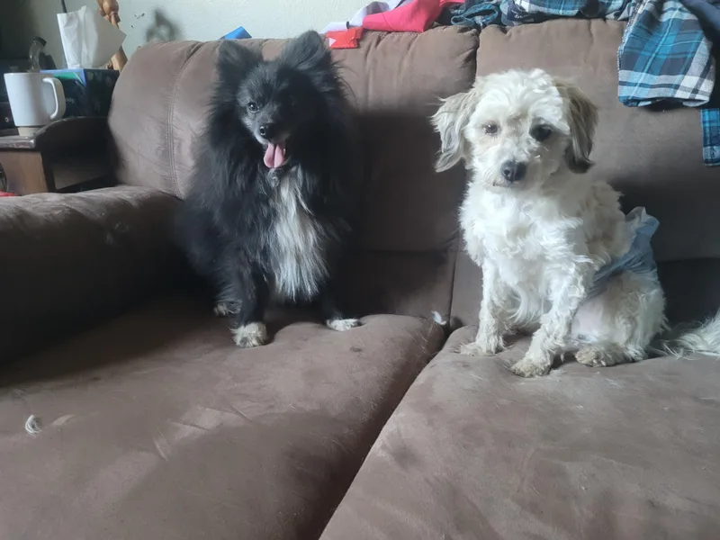 Explorer thumbnail 3