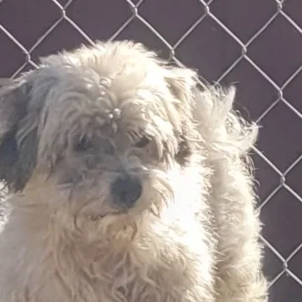 Explorer thumbnail 4