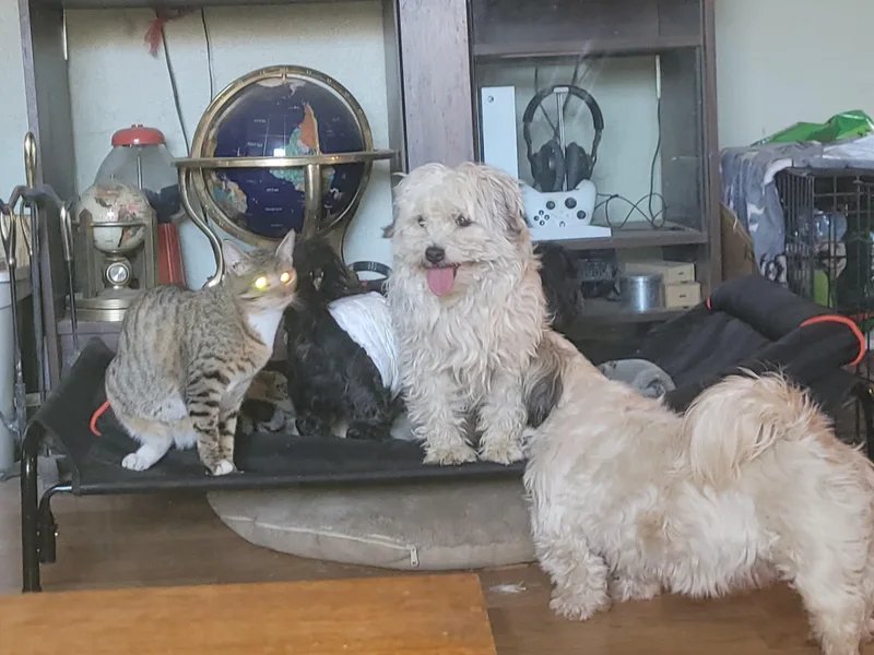 Explorer thumbnail 5