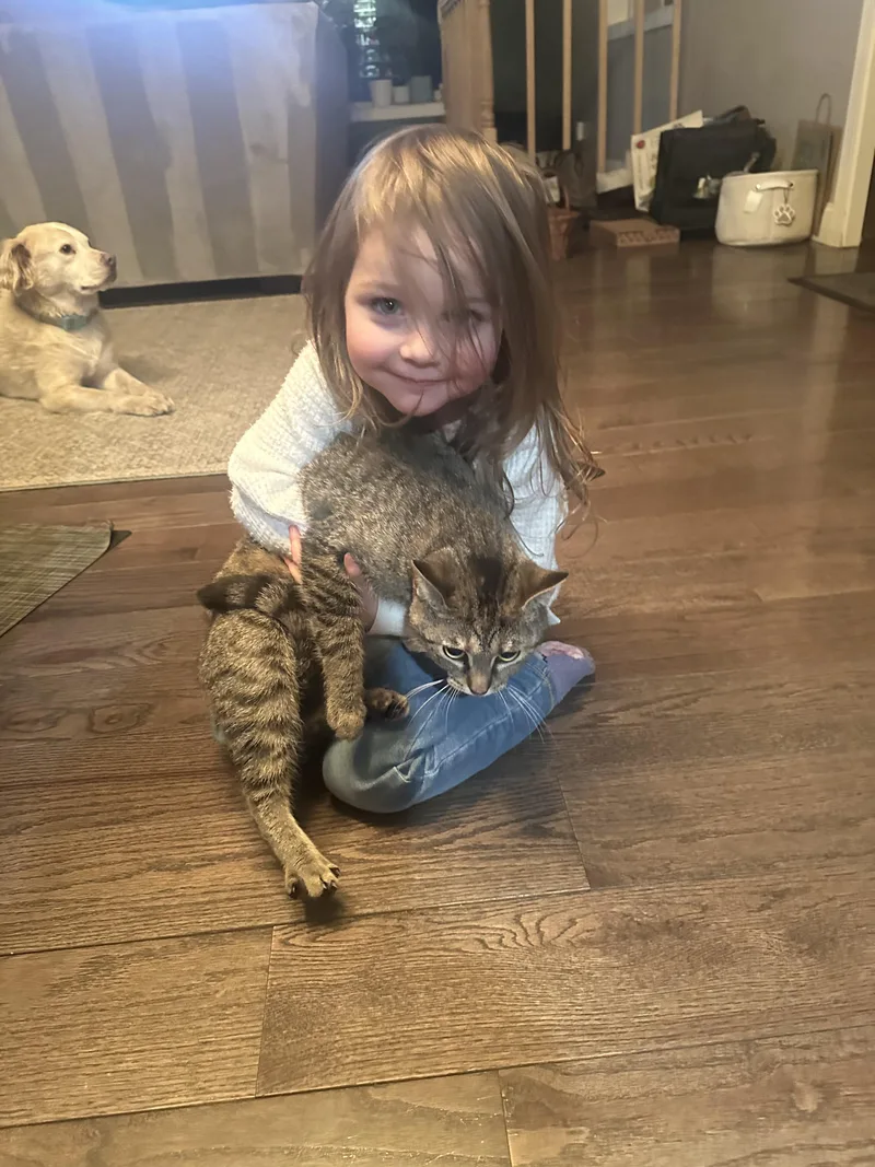 Fernand Norman thumbnail 2