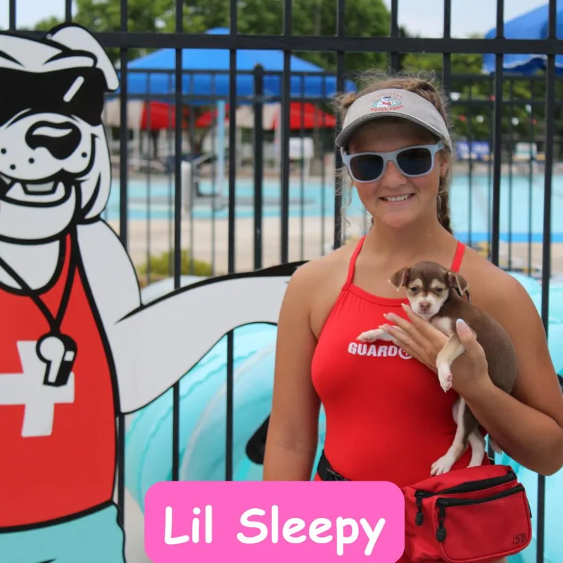Lil Sleepy thumbnail 3