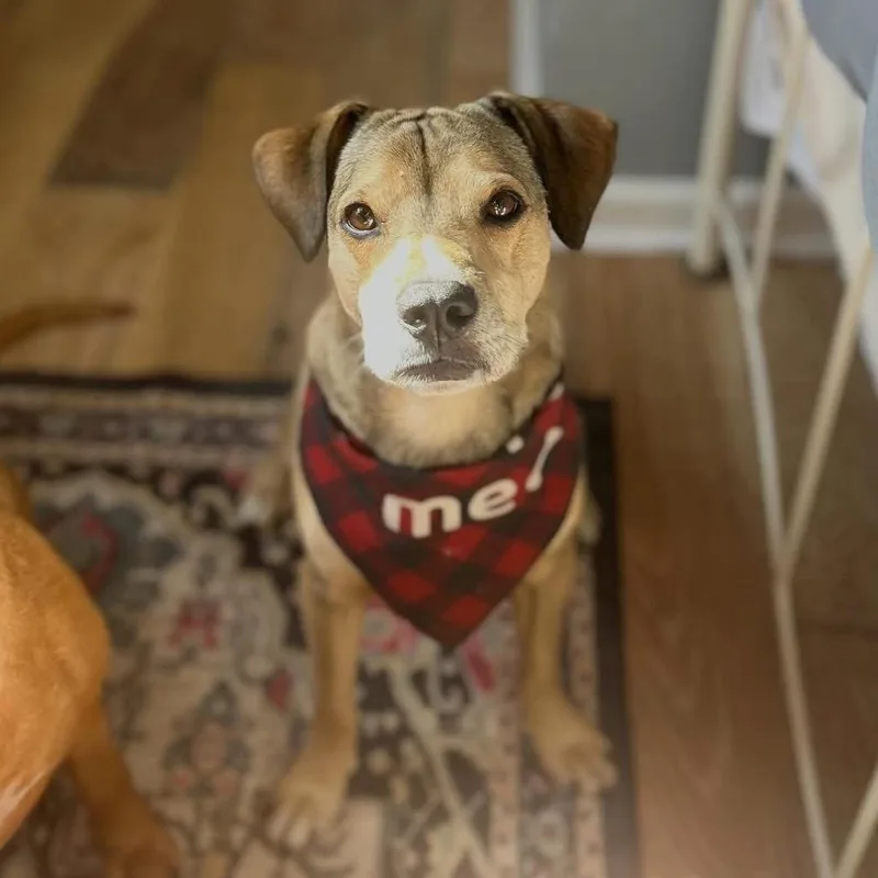 Christian thumbnail 2