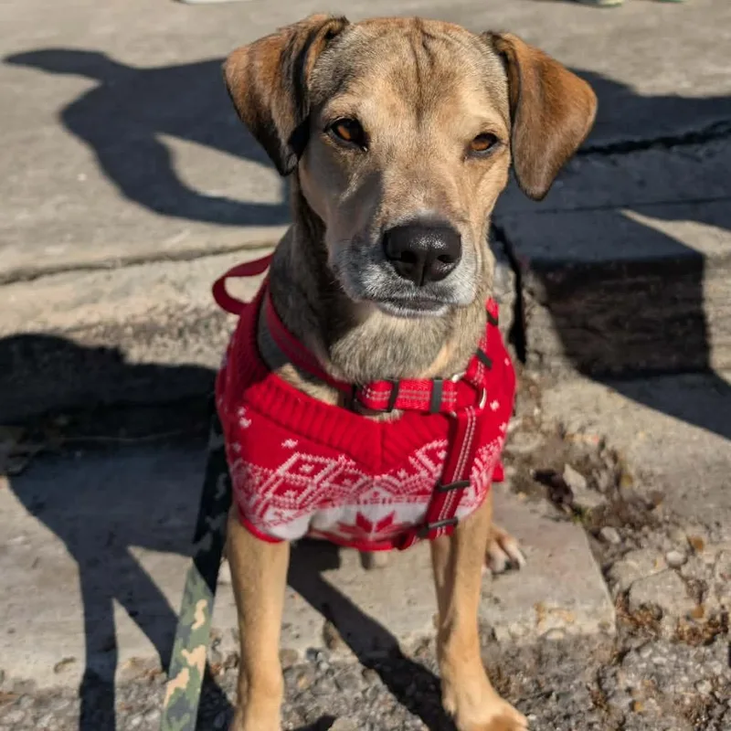 Christian thumbnail 3