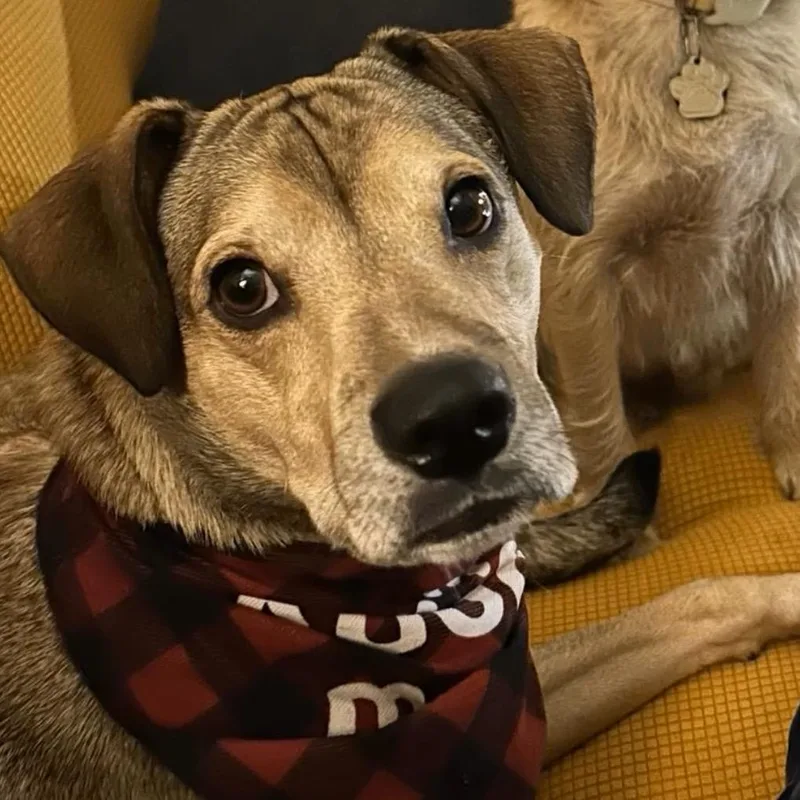 Christian thumbnail 5