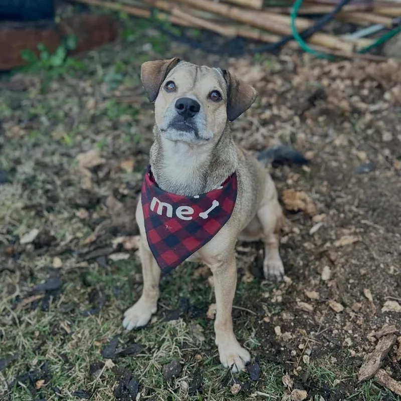 Christian thumbnail 6